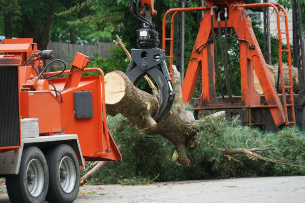 Mulching Services in Star, ID